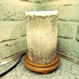 Pink Zebra Wood Grain Simmer Pot & Sage Crackle glass Shade wax warmer